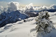 43 Begli accumuli anche sulle piante 